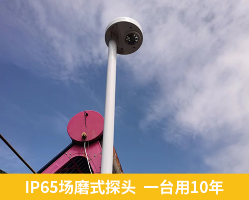 IP65場(chǎng)磨式探頭  一臺(tái)用10年