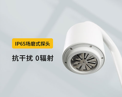 山東某油庫(kù)選用WE3.0雷電預(yù)警系統(tǒng)-IP65探頭